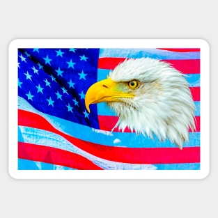 Bald Eagle over the Stars and Stripes Sticker